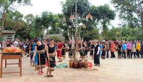 Photograph the festive spirit of Vietnam’s traditions